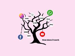 seo6
